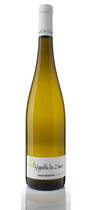 photo Gewurztraminer Amélie Blanc 2016