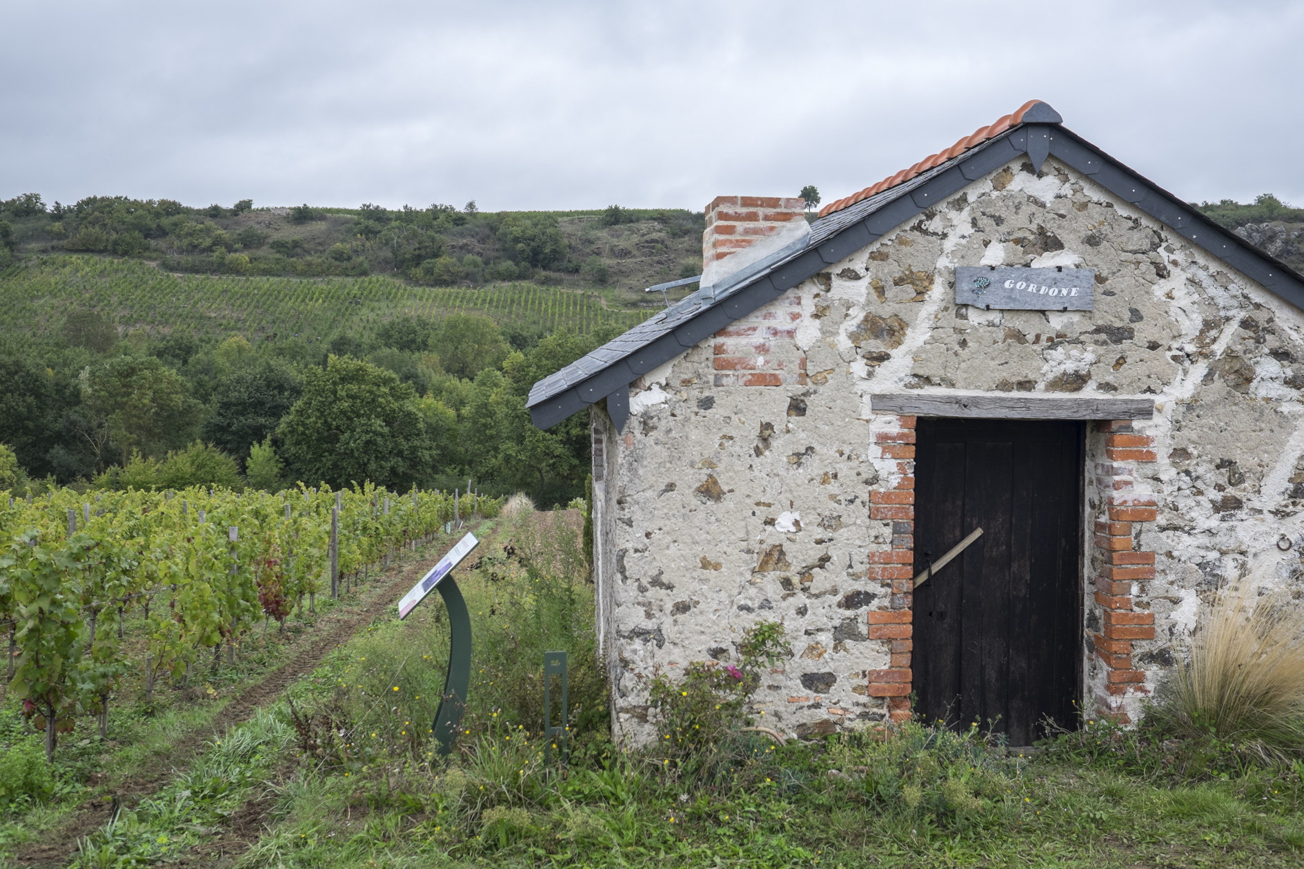 Vue sur le domaine Pithon Paillé - Copyright Jean-Yves Bardin winemaker domain picture